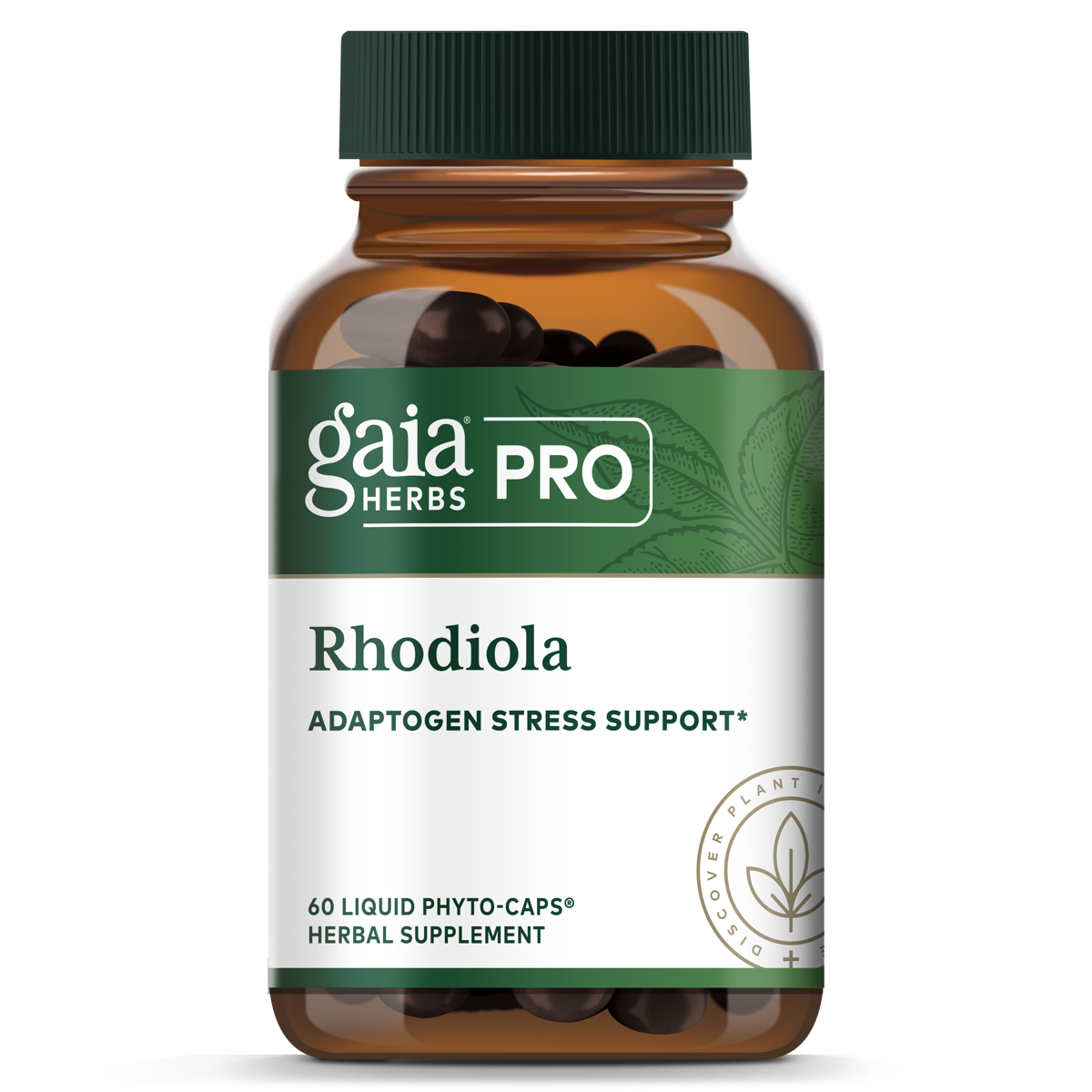 Rhodiola 60 Count