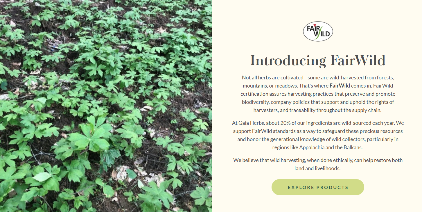 Introducing FairWild  Not all herbs are cultivated—some are wild-harvested from forests, mountains, or meadows. That's where FairWild comes in. FairWild certification assures harvesting practices that preserve and promote biodiversity, company policies that support and uphold the rights of harvesters, and traceability throughout the supply chain.   At Gaia Herbs, about 20% of our ingredients are wild-sourced each year. We support FairWild standards as a way to safeguard these precious resources and honor the generational knowledge of wild collectors, particularly in regions like Appalachia and the Balkans.   We believe that wild harvesting, when done ethically, can help restore both land and livelihoods. 